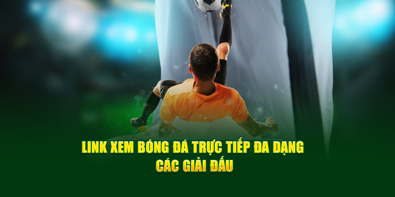 CakhiaTV – Phát trực tiếp chung kết Cúp C1 ngay Cakhia TV 11 Link xem bóng đá trực tiếp đa dạng các giải đấu
